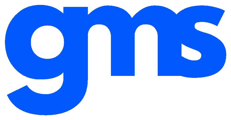 GMS Consulting GmbH